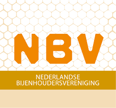 NBV